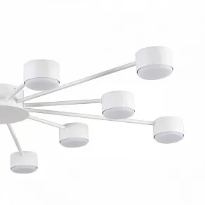 Потолочная люстра Lumion TORINA 8343/12C