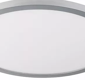 Накладной светильник TopLight Megan TL1131-1Y