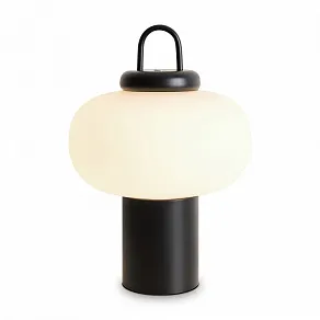 Настольная лампа декоративная Freya Take FR6175TL-L10B