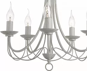 Подвесная люстра Arte Lamp Maypole A6300LM-5WG