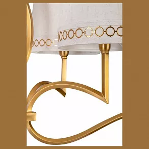 Подвесная люстра L'Arte Luce  L02606