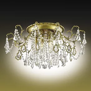 Потолочная люстра Odeon Light Gardia 2879/6C
