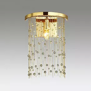 Накладной светильник Odeon Light Raini 4844/1W