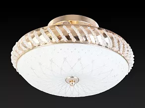 Светильник на штанге TopLight Loreen TL1490Y-03GC