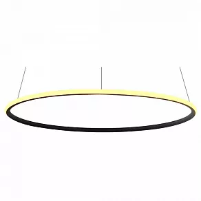 Подвесной светильник Arte Lamp 2500 A2500SP-1BK