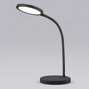 Настольная лампа офисная Elektrostandard Tiara a048743