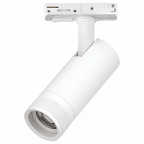 Светильник на штанге Lightstar Canno Pro C4126SS