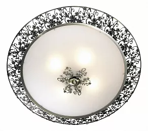 Накладной светильник Odeon Light Balasa 2726/4C