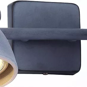 Спот Arte Lamp 9189 A9189AP-2GY
