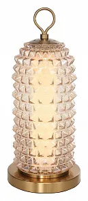 Настольная лампа декоративная ST-Luce SAGUARO SL6144.304.01