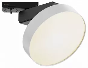 Светильник на штанге Maytoni Zon TR043-1-12W3K-W