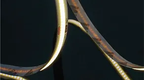 Лента светодиодная SWG PRO SWG-COB SWG-COB840-24-18-RGBWW