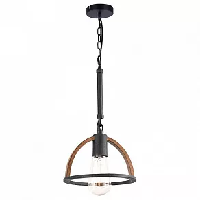 Подвесной светильник TopLight Jasmin TL1179H-01BK