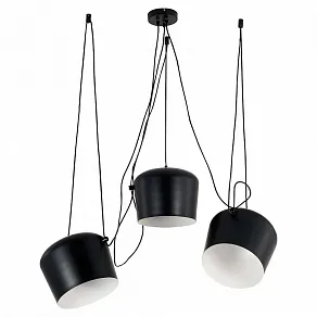 Подвесная люстра EVOLUCE TRIESTE SLE120643-03.1