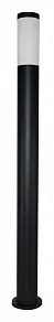 Наземный высокий светильник Arte Lamp Salire A3157PA-1BK