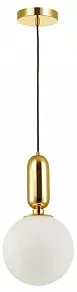 Подвесной светильник Odeon Light Okia 4669/1