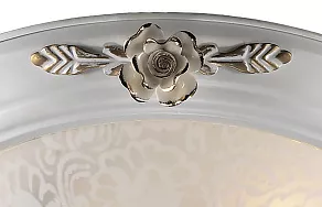 Накладной светильник Odeon Light Bone 2692/2C