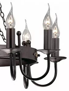 Подвесная люстра Odeon Light Dario 2528/8