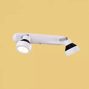 Спот Citilux Данди CL557521