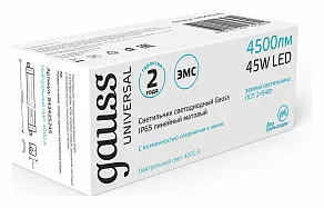Накладной светильник Gauss UNIVERSAL 843425245