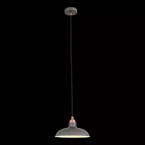 Подвесной светильник ST-Luce Pietanza SL323.403.01