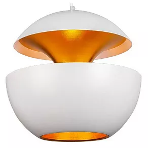 Подвесной светильник L'Arte Luce  L24611.02