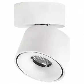 Спот Citilux Стамп CL558010N
