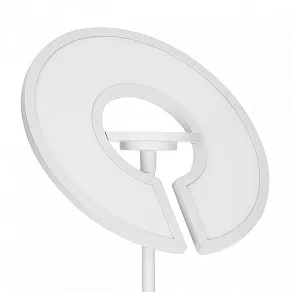 Торшер Citilux LOONG CL810030