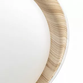 Накладной светильник Citilux MEGA CL752452G