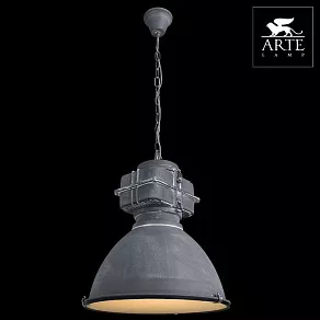 Подвесной светильник Arte Lamp Loft A5014SP-1BG