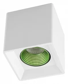 Накладной светильник Denkirs DK3020WGR DK3080-WH+GR