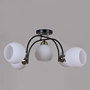 Потолочная люстра ILLUMICO  IL0250-5CSQ-79 BK AB