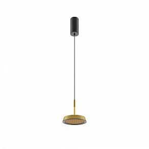 Подвесной светильник Maytoni El MOD041PL-L15G3K