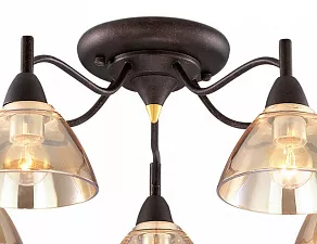Потолочная люстра Odeon Light Treves 2625/5C