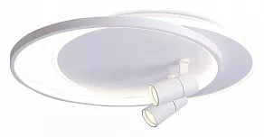 Накладной светильник Ambrella Light FL FL51391