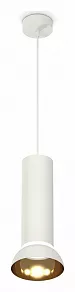 Подвесной светильник Ambrella XP XP8191101