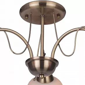 Люстра на штанге TopLight Octavia TL3760X-03AB