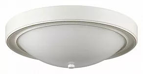 Накладной светильник Lumion Nina 5279/3C