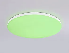 Накладной светильник Ambrella Light FZ FZ2001