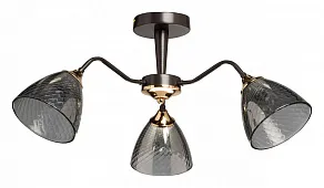 Люстра на штанге De City Альфа 29 115010303