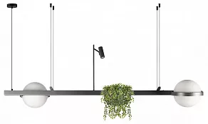 Подвесной светильник Loft it Jardin 10121/D Dark grey