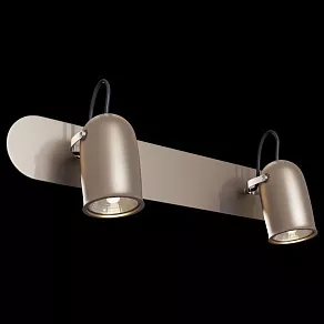 Спот Maytoni Alcor SP311-CW-02-N