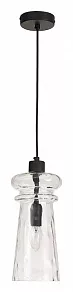 Подвесной светильник Odeon Light Pasti 4966/1