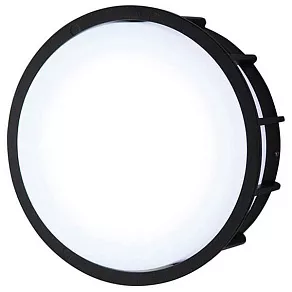 Накладной светильник L'Arte Luce Telma L78055.31