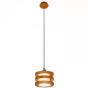Подвесной светильник Arte Lamp Ring A1320SP-1CC