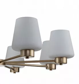 Подвесная люстра Indigo Tulip 13004/8P Gold