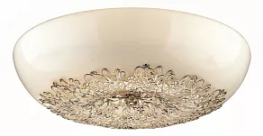 Накладной светильник Odeon Light Palmira 2677/8C
