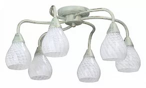 Потолочная люстра Vitaluce V3709 V3709/6PL