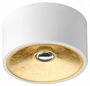 Накладной светильник Odeon Light Glasgow 3892/1C