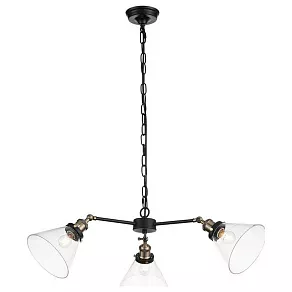 Подвесная люстра ST-Luce Evoluto SL237.413.03